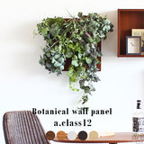 アートパネル 光触媒 観葉植物 | Botanical a.class 12