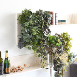 アートパネル 光触媒 観葉植物 | Botanical a.class 12