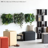 アートパネル 光触媒 観葉植物 | Botanical a.class 12