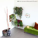 アートパネル 光触媒 観葉植物 | Botanical a.class 12