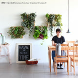 人工観葉植物 ウォールグリーン | Botanical a.class 20