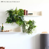 壁掛け アートパネル | Botanical a.class 13