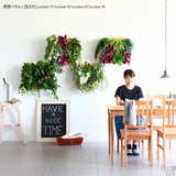 フェイクグリーン 壁掛け 光触媒 | Botanical a.class 17