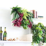 人工観葉植物 ウォールグリーン | Botanical a.class 14