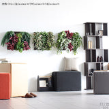 人工観葉植物 ウォールグリーン | Botanical a.class 14