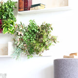 壁掛け アートパネル | Botanical a.class 15