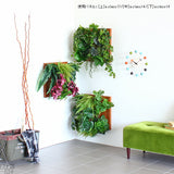 フェイクグリーン 壁掛け 光触媒 | Botanical a.class 17