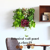 壁掛け アートパネル | Botanical a.class 19