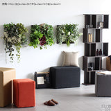 人工観葉植物 ウォールグリーン | Botanical a.class 20