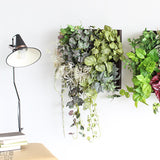 人工観葉植物 ウォールグリーン | Botanical a.class 20