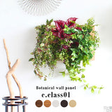 人工観葉植物 ウォールグリーン | Botanical c.class 01