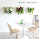 人工観葉植物 ウォールグリーン | Botanical c.class 01