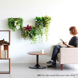 人工観葉植物 ウォールグリーン | Botanical c.class 01