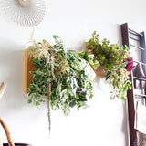 壁掛け アートパネル | Botanical c.class 02