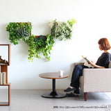 観葉植物 フェイク | Botanical c.class 09