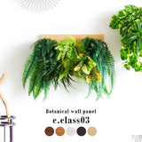 人工観葉植物 ウォールグリーン | Botanical c.class 03