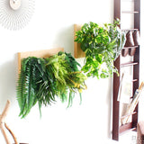 人工観葉植物 ウォールグリーン | Botanical c.class 03