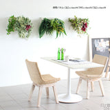 アートパネル 光触媒 観葉植物 | Botanical c.class 06