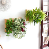 壁掛け アートパネル | Botanical c.class 04