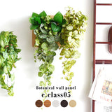人工観葉植物 ウォールグリーン | Botanical c.class 05