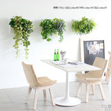 アートパネル 光触媒 観葉植物 | Botanical c.class 07