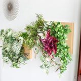 アートパネル 光触媒 観葉植物 | Botanical c.class 06