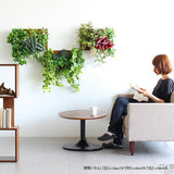 アートパネル 光触媒 観葉植物 | Botanical c.class 06