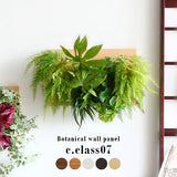 アートパネル 光触媒 観葉植物 | Botanical c.class 07