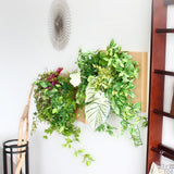 光触媒 壁掛け アートパネル | Botanical c.class 08