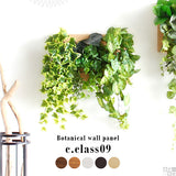 観葉植物 フェイク | Botanical c.class 09