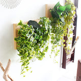 観葉植物 フェイク | Botanical c.class 09