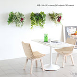 観葉植物 フェイク | Botanical c.class 09