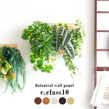 人工観葉植物 ウォールグリーン | Botanical c.class 10