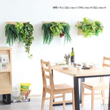 フェイクグリーン 壁掛け 光触媒 | Botanical c.class 11