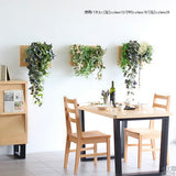 アートパネル 光触媒 観葉植物 | Botanical c.class 20