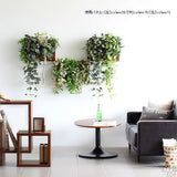 アートパネル 光触媒 観葉植物 | Botanical c.class 20