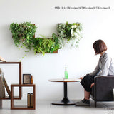 光触媒 人工観葉植物 | Botanical c.class 13