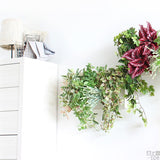 人工観葉植物 ウォールグリーン | Botanical c.class 15