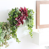 壁掛け アートパネル | Botanical c.class 16