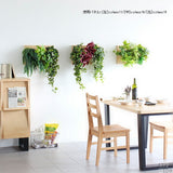 壁掛け アートパネル | Botanical c.class 16