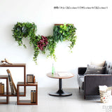 壁掛け アートパネル | Botanical c.class 16