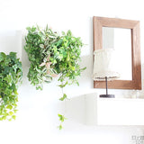 壁掛け アートパネル | Botanical c.class 19