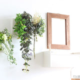 アートパネル 光触媒 観葉植物 | Botanical c.class 20