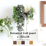 アートパネル 光触媒 観葉植物 | Botanical c.class 20
