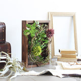 人工観葉植物 ウォールグリーン | Botanical s.class 01