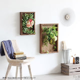 人工観葉植物 ウォールグリーン | Botanical s.class 04