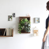 光触媒 壁掛け アートパネル | Botanical s.class 05