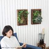 光触媒 壁掛け アートパネル | Botanical s.class 05