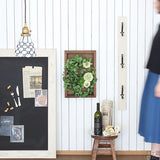 アートパネル 光触媒 観葉植物 | Botanical s.class 06