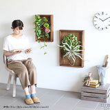 人工観葉植物 ウォールグリーン | Botanical s.class 08